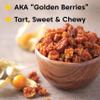 Wilderness Poets, Organic Incan Berries (Golden Berries, Gooseberries) - Raw, Dried Fruit (8 Ounce) view 3