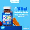 Feel Great Kids Multivitamin Gummies | Citrus & Strawberry Flavored Vitamins for Kids | Multivitamin Gummies with Vitamin D for Bone, Muscle & Immune Support | Chewable Vitamins | 45-Day Supply view 2