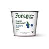 Forager Dairy-Free Usda Organic Blueberry Cashewgurt, 5.3 Oz (Pack Of 12) view 1