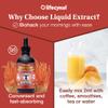 Lifecykel Cordyceps Mushroom Extract w/Kakadu Plum- Natural Energy Supplement for Fatigue & Stamina- Mycelium Vitamin C Antioxidants Non-GMO Organic Mushrooms Made in US, 2 Fl oz (Packaging May Vary) view 3