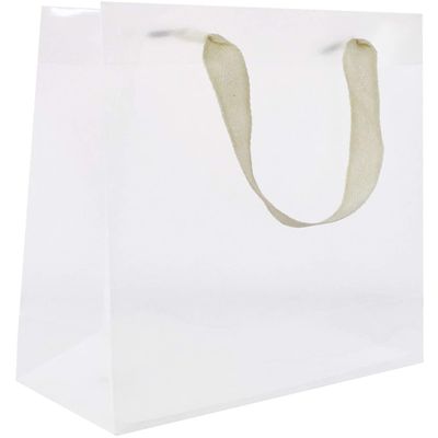 Jillson Roberts 6-Count Large 12.5" x 10" x 5" All-Occasion Gift Bags, Opaque