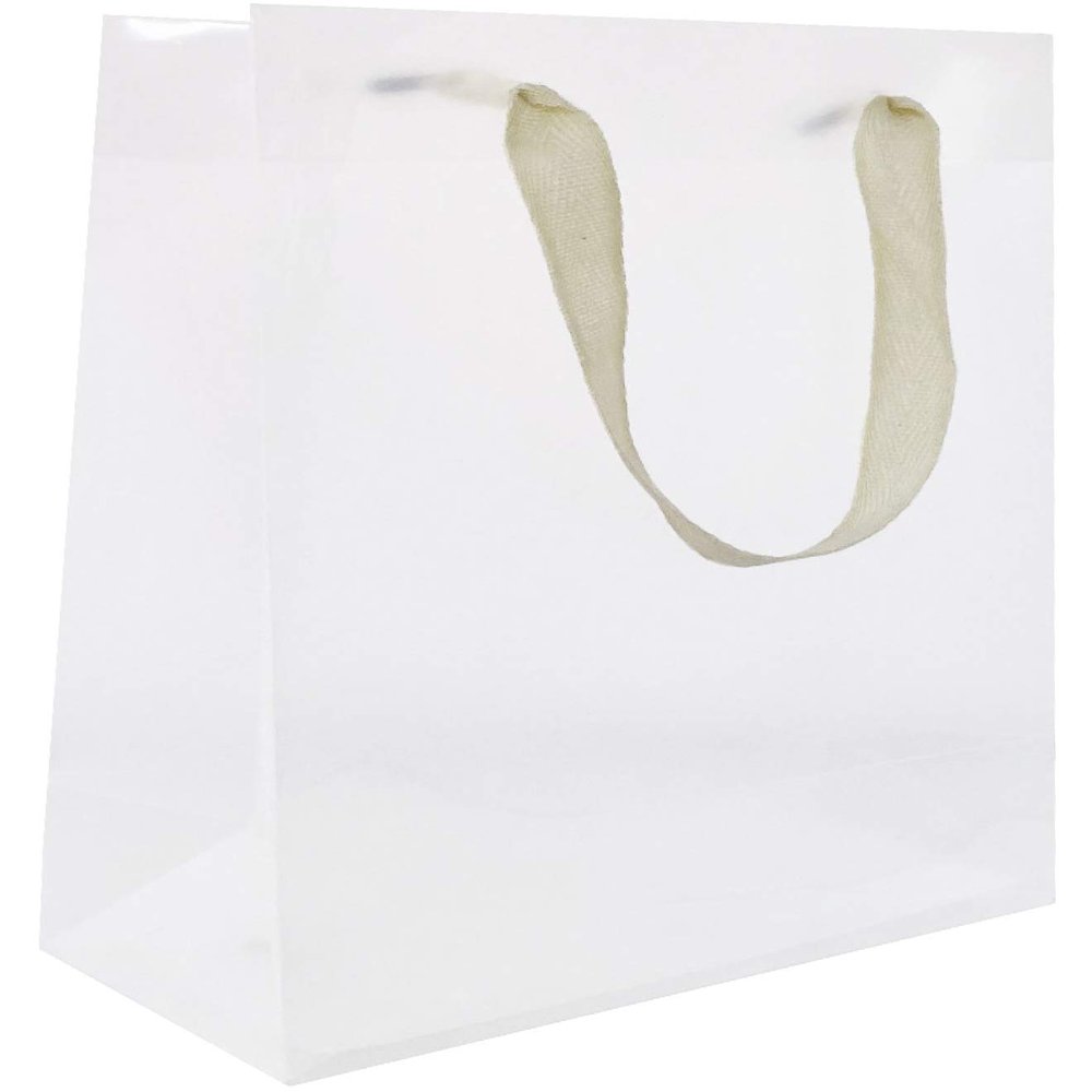 Jillson Roberts 6-Count Large 12.5" x 10" x 5" All-Occasion Gift Bags, Opaque