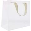 Jillson Roberts 6-Count Large 12.5" x 10" x 5" All-Occasion Gift Bags, Opaque view 1