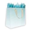 Jillson Roberts 6-Count Large 12.5" x 10" x 5" All-Occasion Gift Bags, Opaque view 2