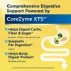 Renew Life DigestMore Digestive Enzymes | 90 Vegetable Capsules | Plant Based Enzymes | Relieves Occasional Gas, Bloating & Indigestion | Dairy, Soy, and Gluten-Free Supplement view 4