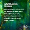 REFLUX GOURMET - Mint Chocolate Rescue All-Natural Alginate Therapy, Acid Reflux, GERD, LPR, Heartburn Relief, Made from All Natural Ingredients Considered Safe for Children and Pregnant Women view 4