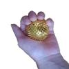 Acupressure Magnetic Ball Massaging for Palm with 2 Sujok Rings for Finger view 2