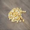 Amish Country Popcorn | 10-4oz Bags - Medium Yellow | Old Fashioned, Non-GMO and Gluten Free (10-4oz Bags) view 2