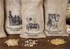 Amish Country Popcorn | 3-2 lb Bags | 6 lb Burlap Variety Set | Medium White - Medium Yellow - Rainbow Popcorn Kernels | Old Fashioned, Non-GMO and Gluten Free (3-2 lb Bags) view 2
