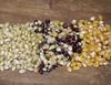 Amish Country Popcorn | 3-2 lb Bags | 6 lb Burlap Variety Set | Medium White - Medium Yellow - Rainbow Popcorn Kernels | Old Fashioned, Non-GMO and Gluten Free (3-2 lb Bags) view 4
