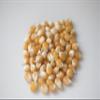 Amish Country Popcorn | 24-4 Oz Bags - Mushroom Kernels | Old Fashioned, Non-GMO and Gluten Free view 2