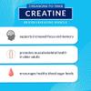 BODYTECH Creatine Monohydrate Capsules - Micronized for Maximum Absorption - Supports Muscle Strength & Power - Convenient Capsule Form (100 Capsules) view 3