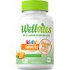 Wellvites Sugar Free Kids Immune Daily Gummy Vitamins - Vegan, Non-GMO - Vitamin C Gummies for Kids Immune Support, No Artificial Sweeteners, Gluten-Free, Gelatin-Free, 60 Count (30 Day Supply) view 1