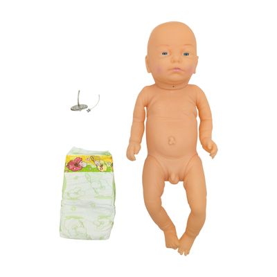 Anatomy Lab Infant Tracheostomy Care Manikin