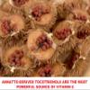 Ground Annatto Seed Powder Bulk Bag 1 Pound-The Most Powerful Source of Vitamin E Tocotrienols view 2