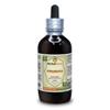 Punarnava (Boerhavia Diffusa) Dried Root Liquid Extract (Brand Name: HerbalTerra, Proudly Made in USA) 4 oz view 1