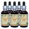 Dragone Bone, Zhang Nao (Fossilia Ossis Mastodi) Dried Fossilized Bones of Mammals Liquid Extract (Brand Name: HerbalTerra, Proudly Made in USA) 5x2 oz view 1