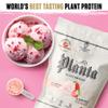 Ambrosia Planta - Plant-Based Protein Powder 20g | Dairy Free Vegan Protein Powder with BCAA Amino Acids | Keto-Friendly, No Added Sugar | 25 Servings | Strawberry Ice Cream view 4