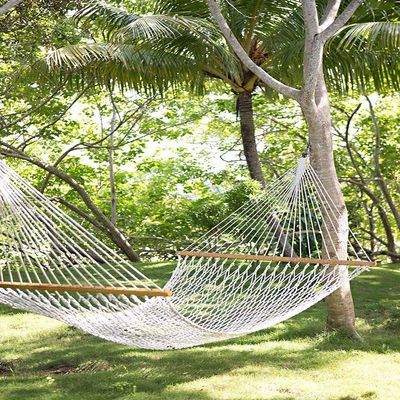 Posterazzi Collection Tropical Siesta Poster Print by Karyn Millet (18 x 12)