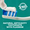Tom's of Maine Whole Care Natural Toothpaste with Fluoride, Peppermint, 4 oz. 3-Pack (Packaging May Vary) view 4