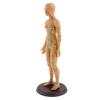 DYNWAVE Professional Human Acupuncture Model, Female, with Detailed Acupuncture Points, 48CM, Lab Demonstrations Model view 3