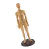 DYNWAVE Professional Human Acupuncture Model, Female, with Detailed Acupuncture Points, 48CM, Lab Demonstrations Model view 4