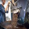 1 LB Kona Extra Fancy Coffee Beans ~ 100% Certified | Medium Roast view 4
