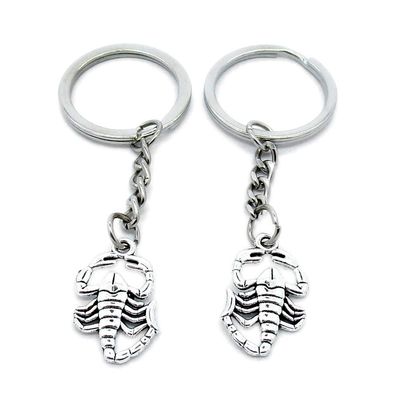 100 PCS Antique Silver Keyrings Keychains Key Ring Chains Tags Clasps AA461 Scorpion Scorpio