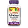 Webber Naturals Webber Natruals Multivitamin 90 Count view 1