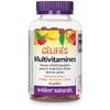 Webber Naturals Webber Natruals Multivitamin 90 Count view 2