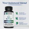 Zhou Nutrition Ashwagandha Capsules, Mood Enhancer, Energy Boost, Blend of Rhodiola, Holy Basil, Cordyceps, Reishi & Ashwagandha Supplement, 30 Servings, 60 Capsules view 3