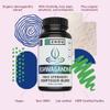 Zhou Nutrition Ashwagandha Capsules, Mood Enhancer, Energy Boost, Blend of Rhodiola, Holy Basil, Cordyceps, Reishi & Ashwagandha Supplement, 30 Servings, 60 Capsules view 4