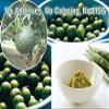 [JAPAN PREMIUMS] Green Yuzu Kosho (Japanese Spicy Citrus Paste) [NO-MSG] 1.76 oz view 3