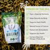 VITAMINSEA Wakame Dried Seaweed | Wild North Atlantic Seaweed for Snacking, Seasoning, Soups & Salads | Rich in Vitamins, Minerals, Aminos & Antioxidants Great for Thyroid Support | Whole Leaf (8 oz) view 4