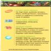 Garden of Life Raw B Complex - Vitamin Code - 60 Vegan Capsules, High Potency Vitamins for Energy & Metabolism with B2 Riboflavin, B1, B3, B6, Folate, B12 as Methylcobalamin & Biotin Plus Probiotics view 2