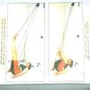 AHCS ACUPRESSURE HEALTH CARE SYSTEMS Acupressure Hand Pully Rope view 2
