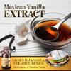Villa Vainilla Pure Vanilla Extract Premium Concentrated, Real, Natural, Gourmet Va Flavor from Mexico (4.2 Fl Oz Pure Vanilla Extract) view 3