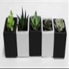 Athena's Garden Set of Five Live 2" 5 Square Pot 3" Natural Polished Rocks Set of 5 Assorted Succulents view 1