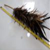 Real Chicken Rooster Feather Duster 17 inch view 3