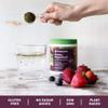 Amazing Grass Sweet Berry Antioxidant Superfood Powder, 7.4 OZ view 3