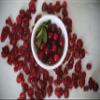 Sisters Fruit Company Premium Dried Sliced Cranberries (Contains THREE 7oz bags) view 3