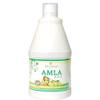 2 X Balu Herbals Amla Juice 500ml view 1