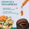 GLX3 Extra Strength Green Lipped Mussel Oil Capsules - Long-Lasting Joint Comfort Supplement - Support for Aches, Soreness - Naturally Rich in Omega 3 & Chondroitin Sulfate 180 Tablets view 2