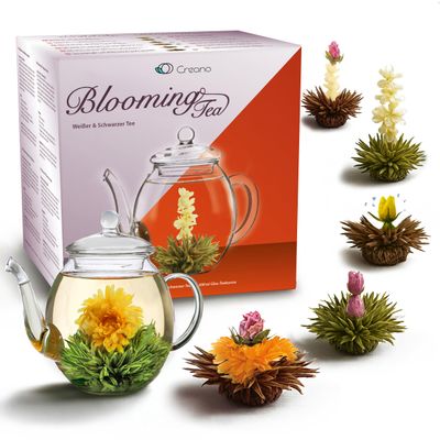 Creano Blooming Tea Gift Set with Glass Pot 17oz/500ml with 6 Flowering-Tea each 3pcs White & Black Tea