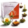 Creano Blooming Tea Gift Set with Glass Pot 17oz/500ml with 6 Flowering-Tea each 3pcs White & Black Tea view 1