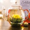 Creano Blooming Tea Gift Set with Glass Pot 17oz/500ml with 6 Flowering-Tea each 3pcs White & Black Tea view 3