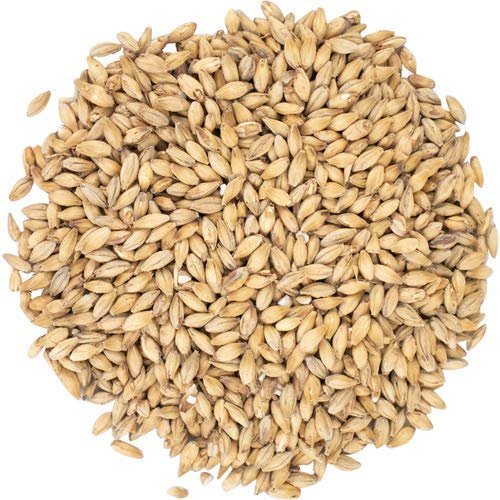 Brewmaster Viking Pilsner Malt