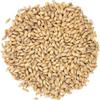 Brewmaster Viking Pilsner Malt view 1
