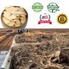 American Ginseng Slices from Wisconsin, American Wisconsin Ginseng Slices Root for Tea, Energy for Men Women Health Boosts Immunity,  /, Larger Long Strip 1 Box of 8 Ounces view 2