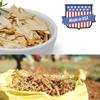 American Ginseng Slices from Wisconsin, American Wisconsin Ginseng Slices Root for Tea, Energy for Men Women Health Boosts Immunity,  /, Larger Long Strip 1 Box of 8 Ounces view 4